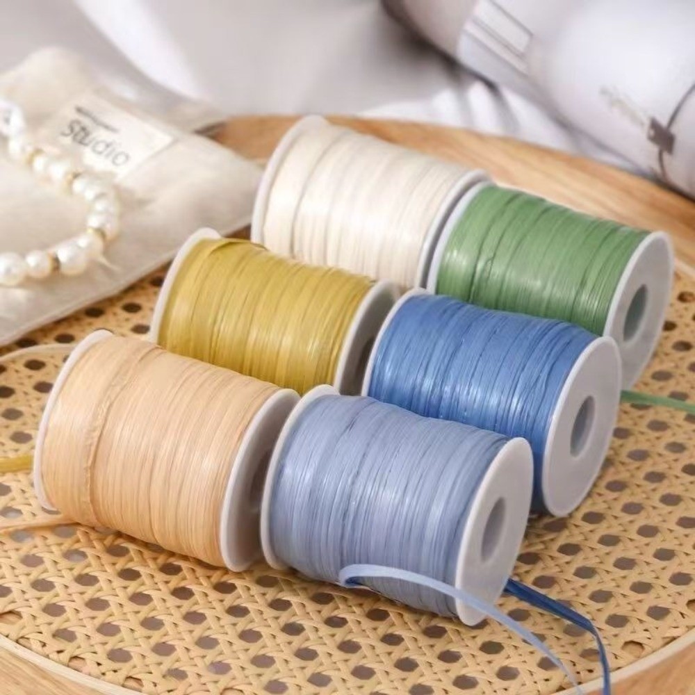 Premium Quality 120M Per Roll  - Crochet Bag Raffia 리뷰 및 가격
